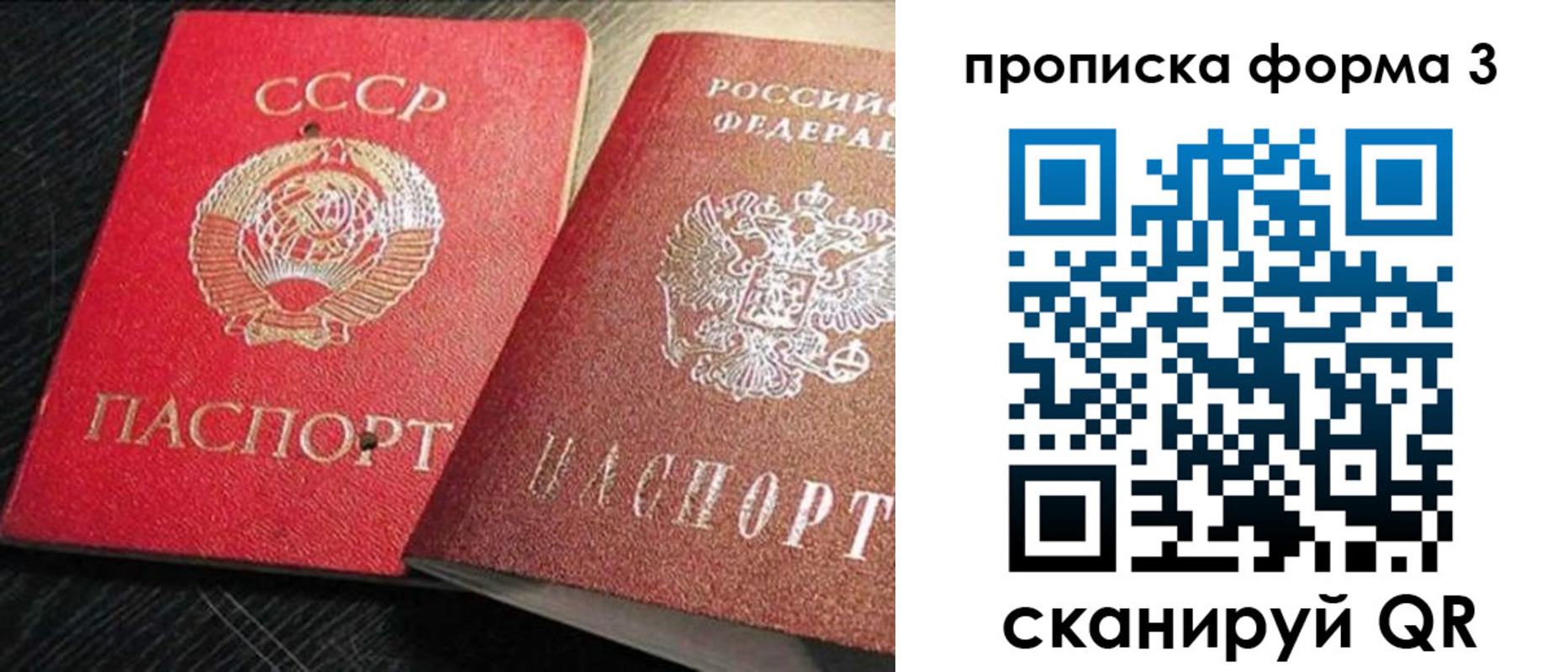 временная регистрация поиск в Александрове